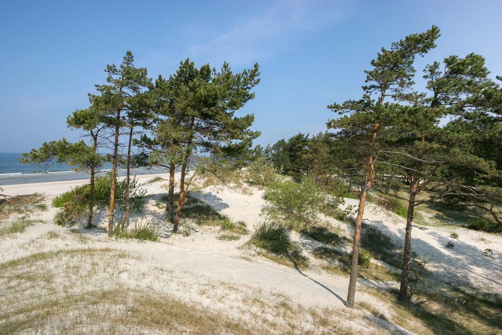 Vila Medus Palanga Exteriér fotografie