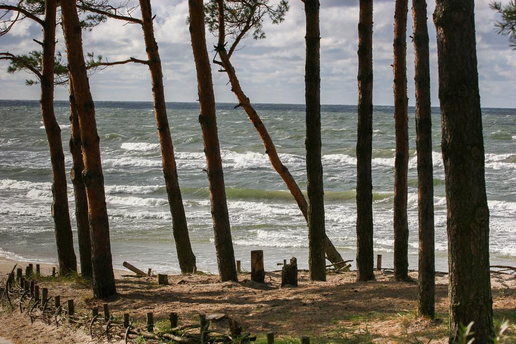 Vila Medus Palanga Exteriér fotografie